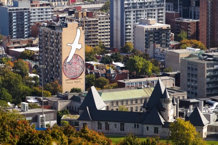 Le grand oiseau