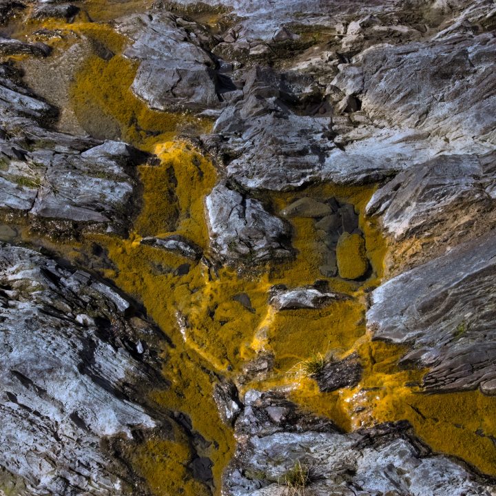 Lac jaune