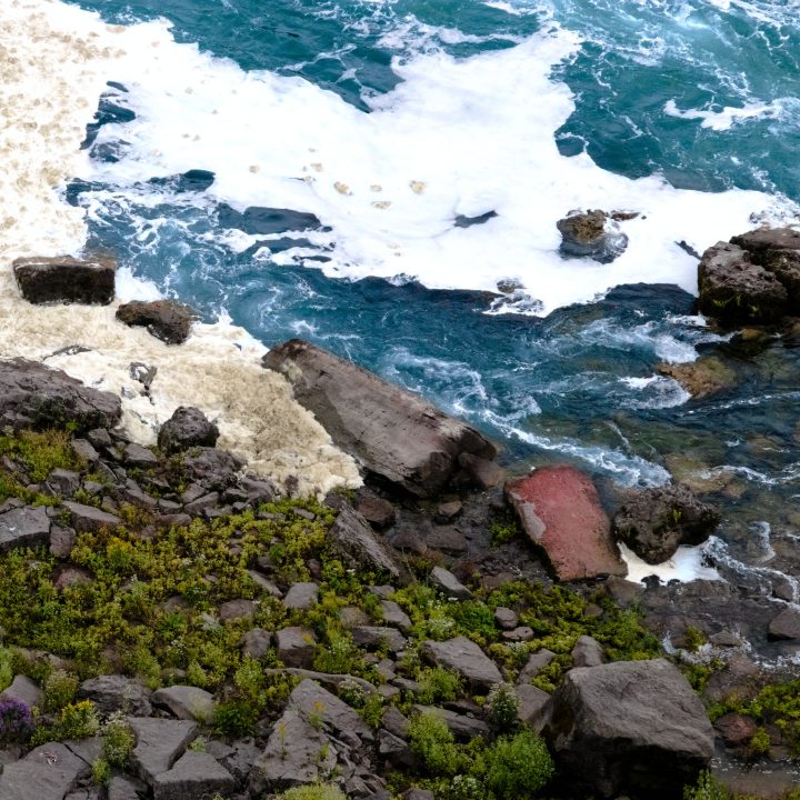Déchets du Niagara